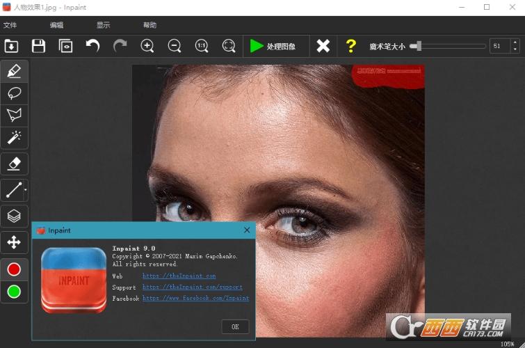 Inpaint,图像.