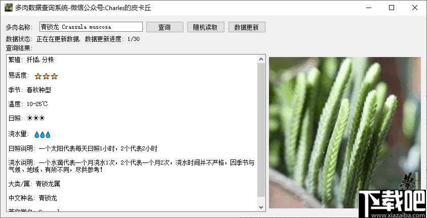 多肉数据查询系统下载,数据查询,植物种植
