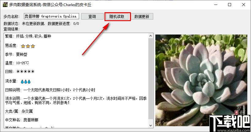 多肉数据查询系统下载,数据查询,植物种植